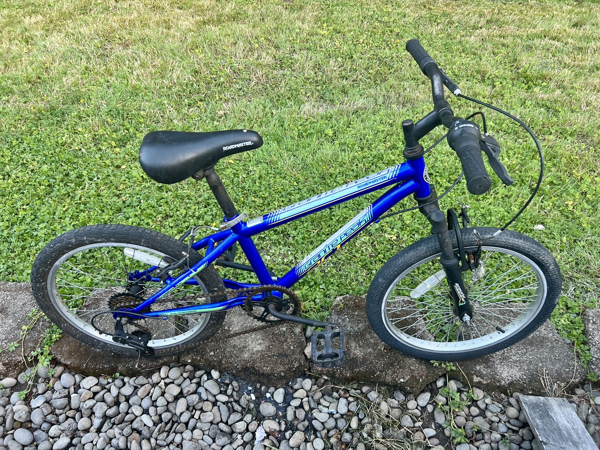 Bike 🚲 20”