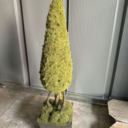 Small Topiary 