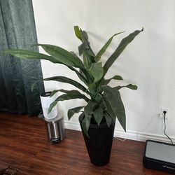 Faux Plant With Pot