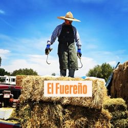 Fresh Clean Bermuda Hay 