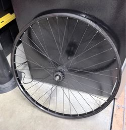 Big Ripper 29" Rear Wheel