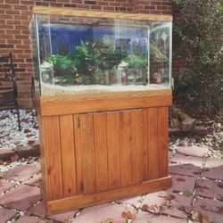 45-Gallon Aquarium with Custom Wood Stand + Crushed Coral Substrate 