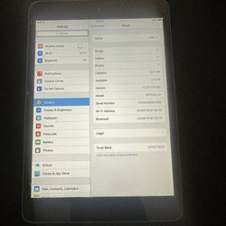 iPad Mini Gen 2