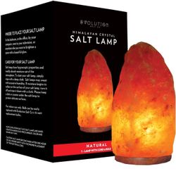 Evolution Salt Himalayan Natural Crystal Salt Lamp