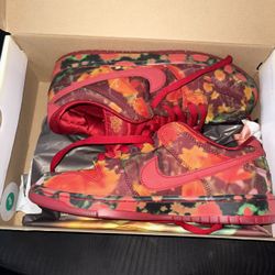 Nike Sb Blossom, Nike Sb “The Wizard Of Oz”, Travis Scott Velvet Brown 