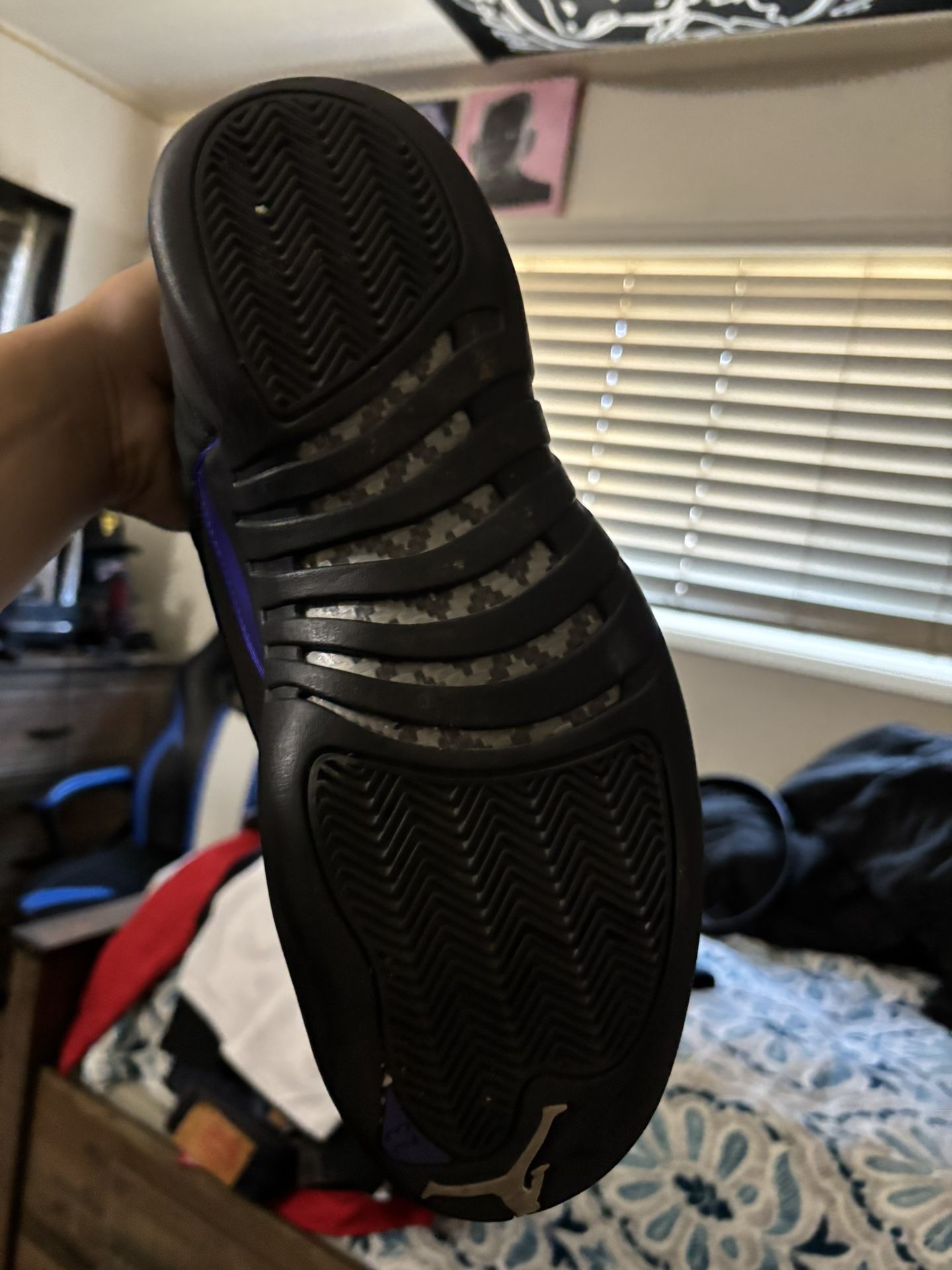 Jordan 12