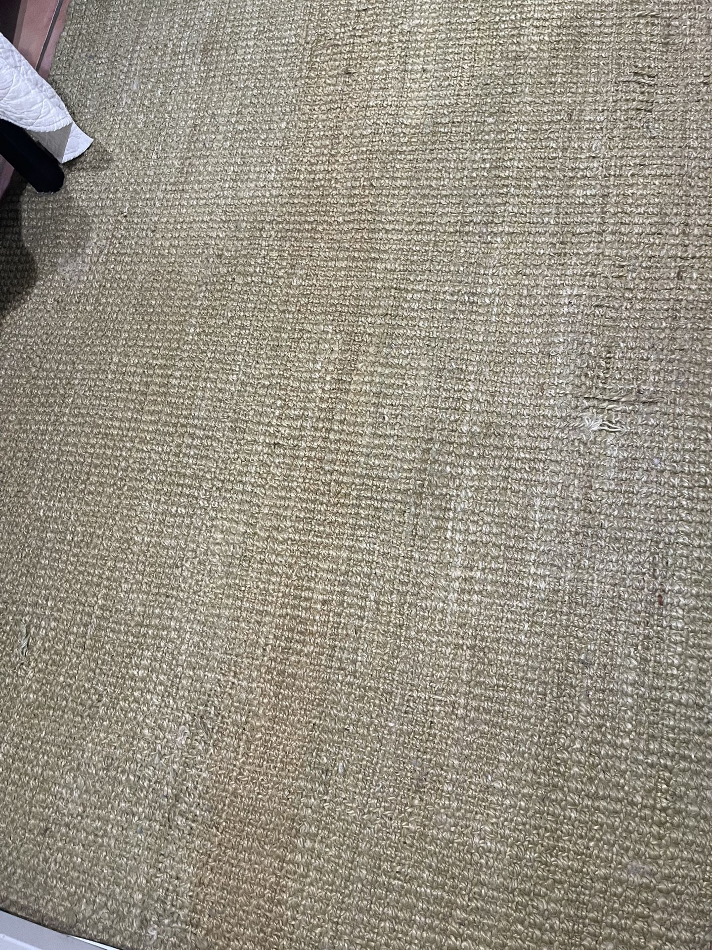 5 x 8 celery green Jute rug from West Elm