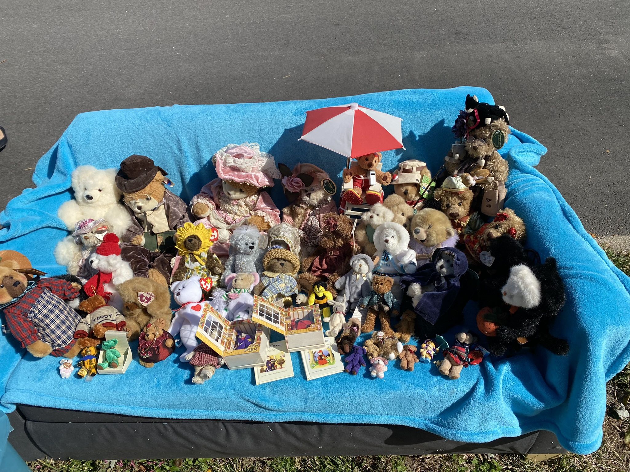 Huge Teddy Bear Collection