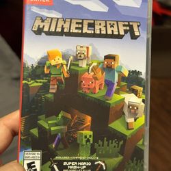 Minecraft nintendo switch