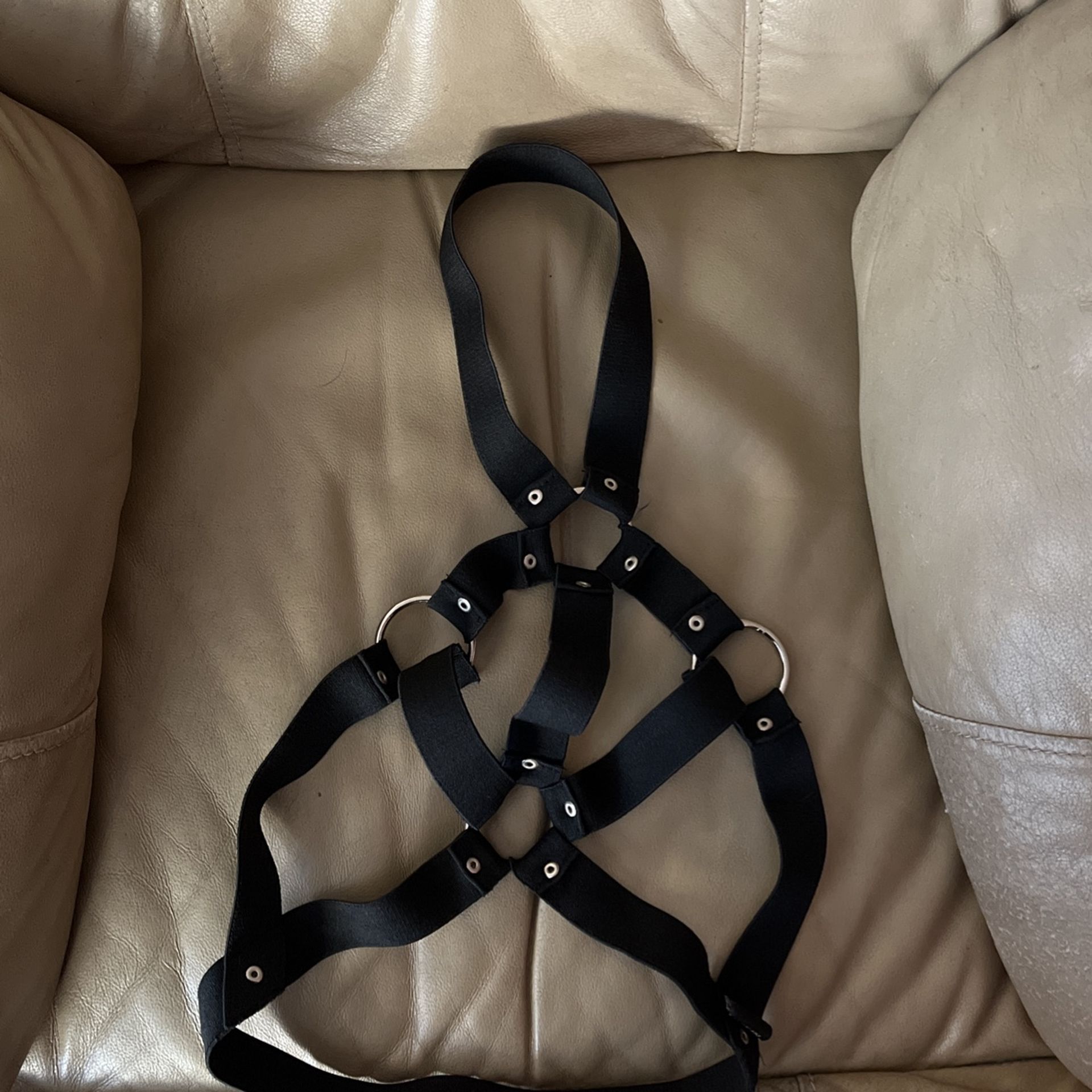 Black Harness