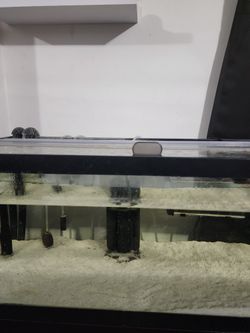 20 Gallon Long Fish Tank