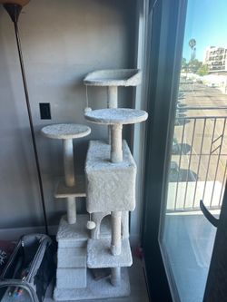 cat tree