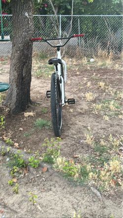 Big flyer 29inch