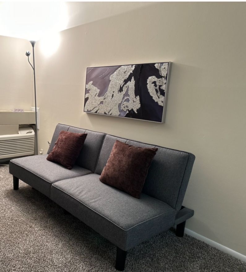 Futon sofa