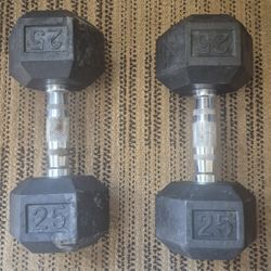 25lb Weights