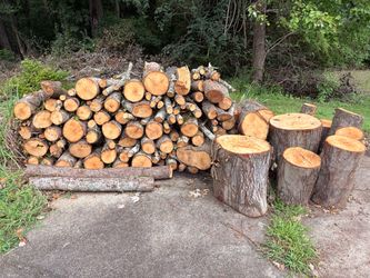 Premium Maple Firewood