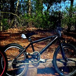 ripper se bike 20' (DESC)
