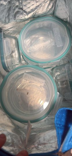 Glass Food Storage Containers