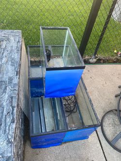 (All 5) 20 gallon fish tanks