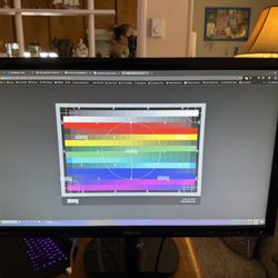 ASUS VS248 24” Displays 