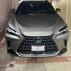 2023 Lexus NX350 AWD 