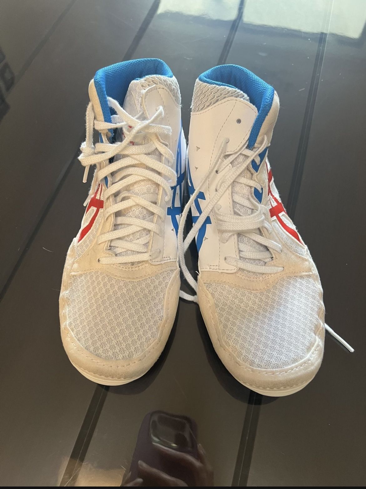 ASICS Wrestling Shoes (size 6 Youth)