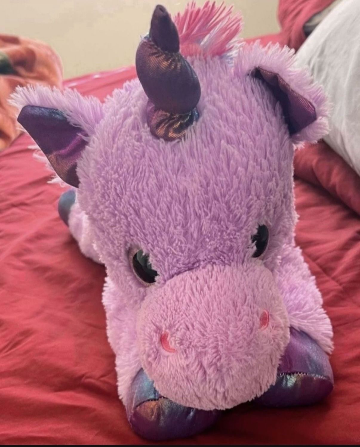 Unicorn Pickup From Northridge Area