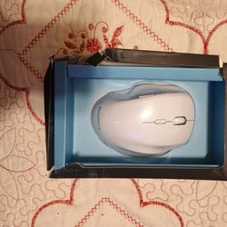 Mouse