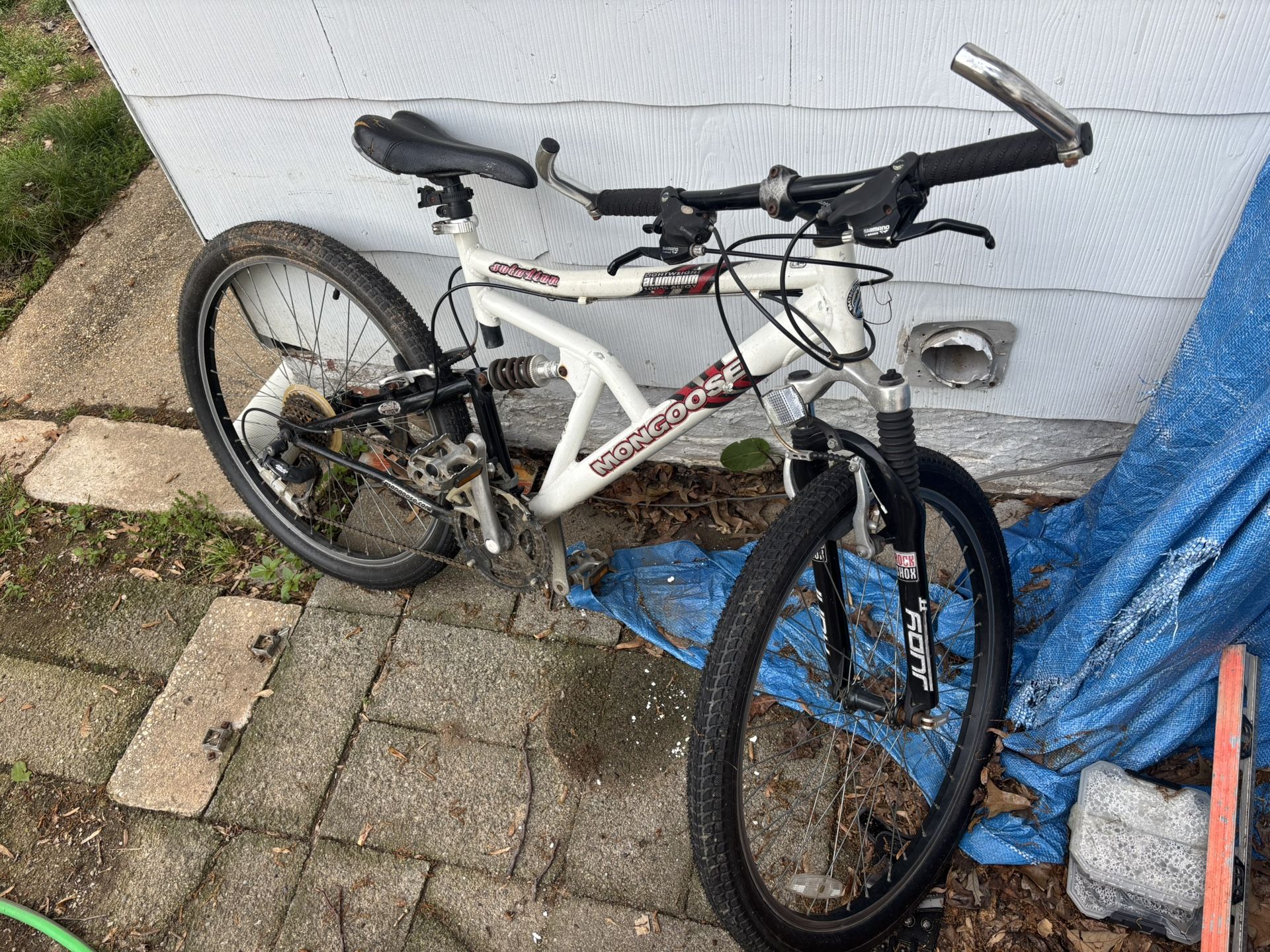 Mountain Bike