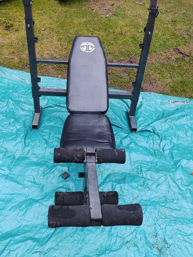 Fully Adjustable Bench Press