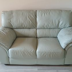 Timber Green 💚  Leather Chair