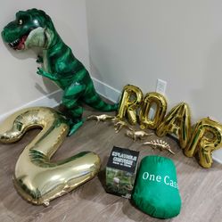 Dinosaur Birthday Party Decorations and Costume
