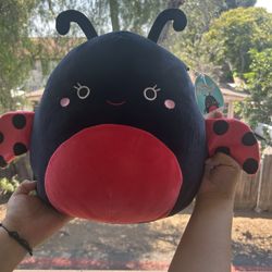 Trudy The Ladybug Squishmallow 