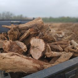 1 Load Mesquite Back Truck