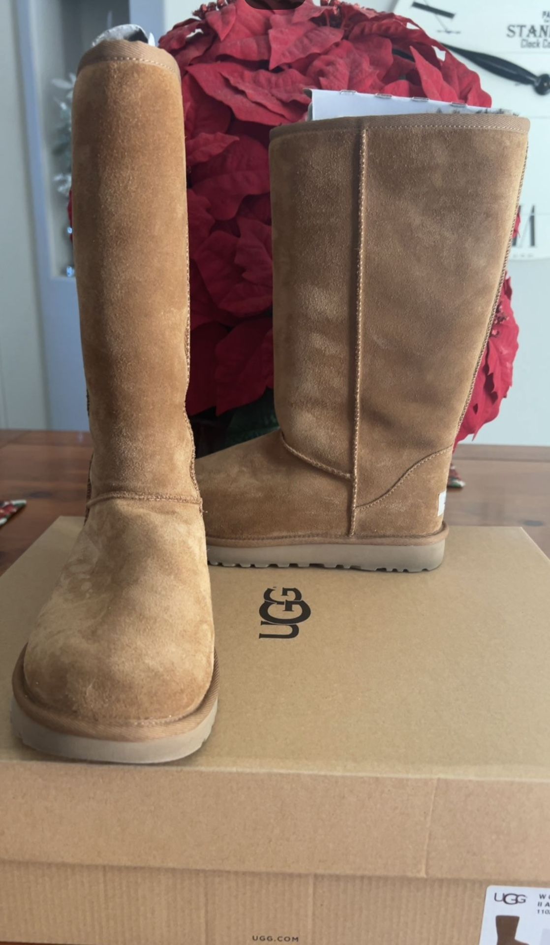 UGG NEW BOOTS