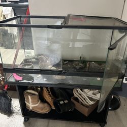 Reptile Tank 