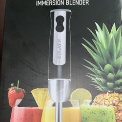 Immersion Blender 