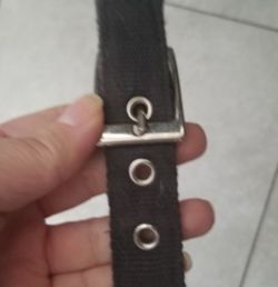 Medium-Large Dog collar and large dog shirt