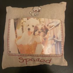 Dog Picture Pillow With Canine Commandments Frame Both For $8! 
