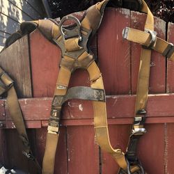 Safety Harness