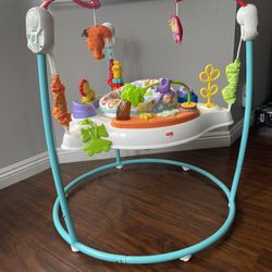 Fisher-price Baby Jumper 