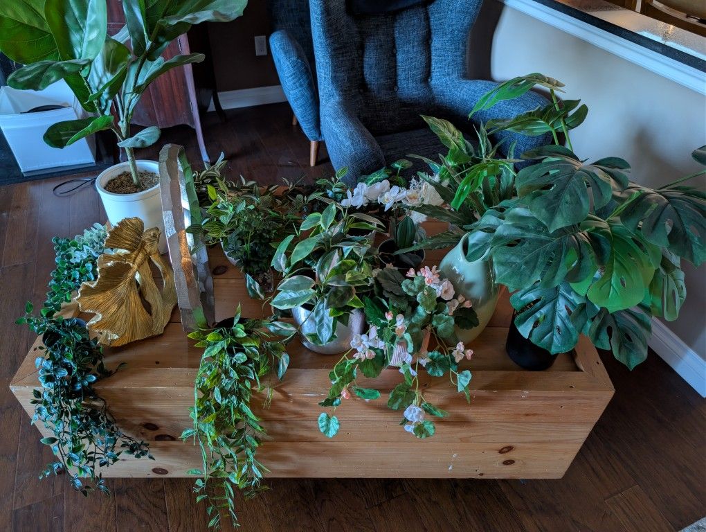 Artificial And Real Plants