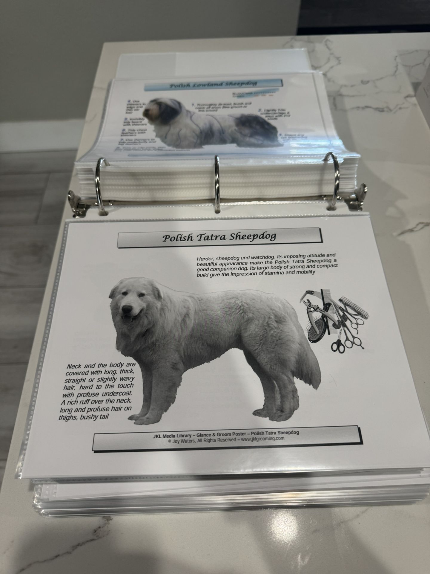 Free Dog Grooming Book