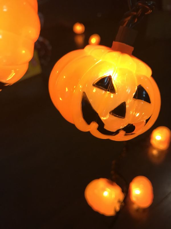 Cute Pumpkin String Lights Decorations Home Garden In Cute Pumpkin String Lights Decorations Home Garden In West Palm Beach Fl Offerup