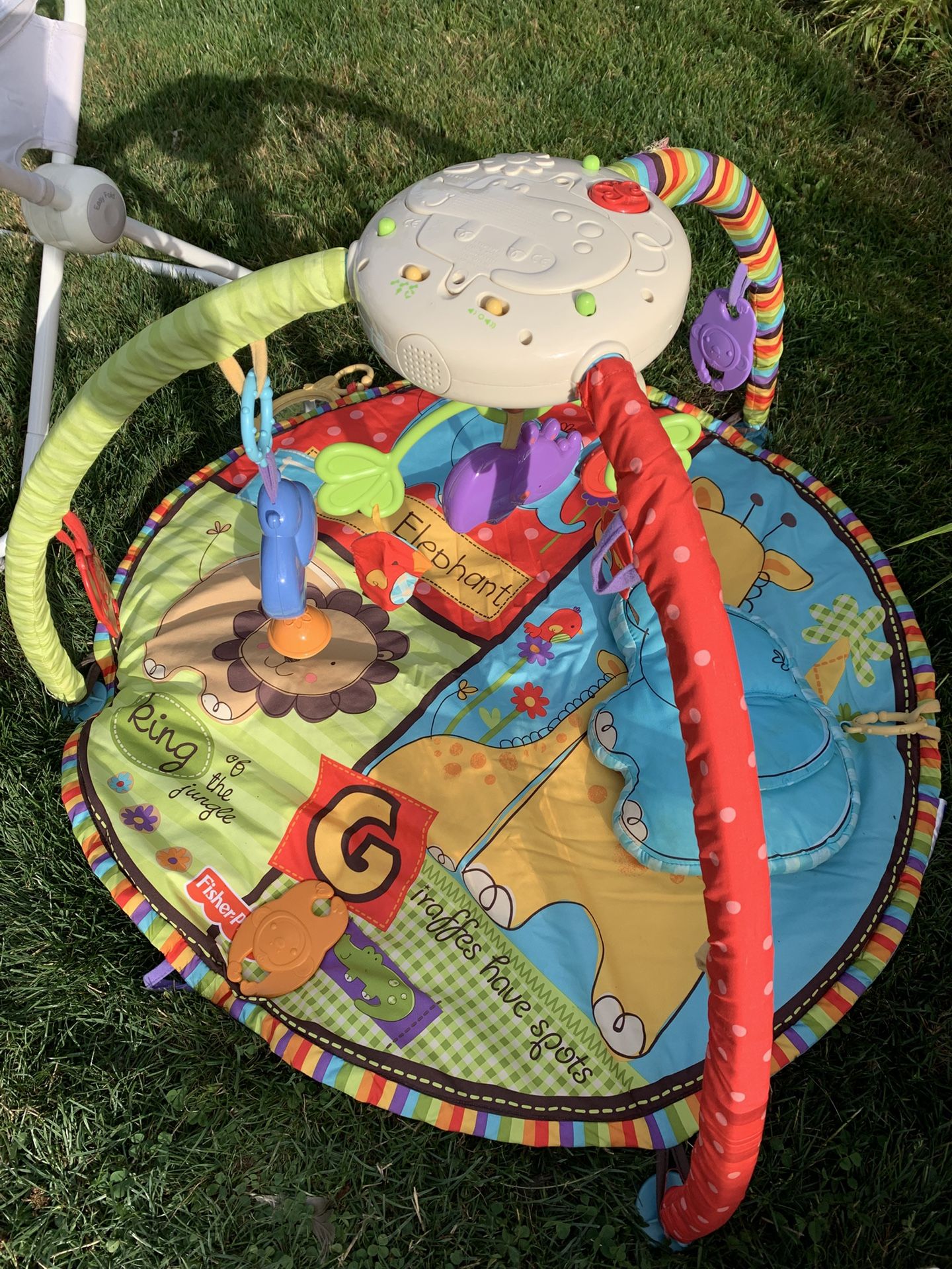 Fisher Price Play Mat