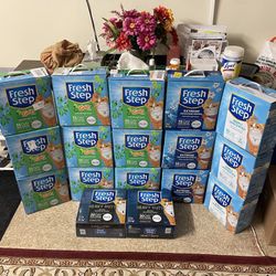 Cheap Cat Litter🐈