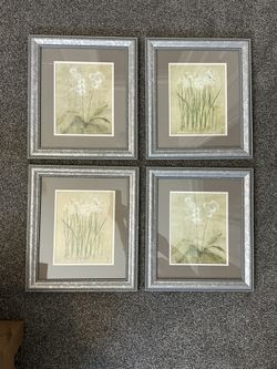 Set of Four Botanical Framed Prints