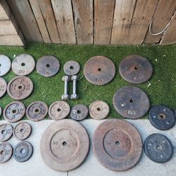 Weights In Good Condition