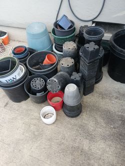 Flower pots for sale 1.00 n 2.00