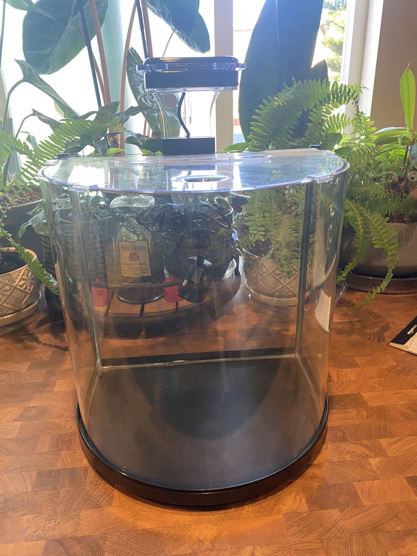 5 Gallon Aquarium 
